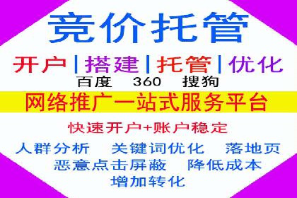 知名SEM服务公司成功案例分享